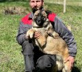 Belgium Girl - Zuhause gesucht!