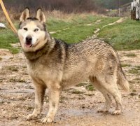 ASNA - 1_0325