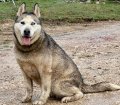 ASNA - 4_0325