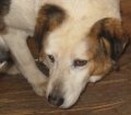 Mabel 1_0425