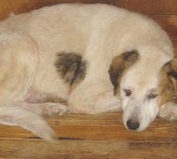Mabel 1_0724