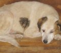 Mabel 1_0724