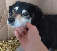 Lepa neu 1 25.02.2026